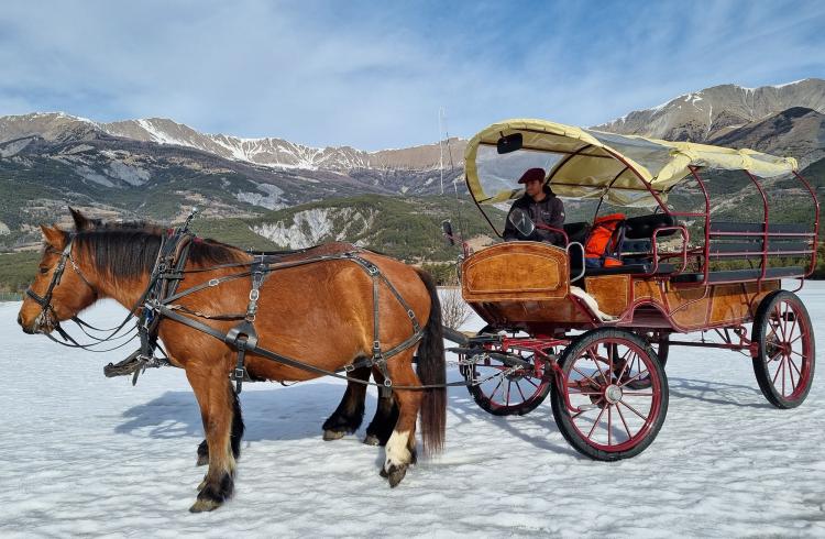 Balade en calèche - Balade en calèche