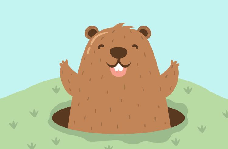 Marmotte Stories - Marmotte Stories