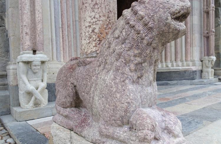 Image - Lion