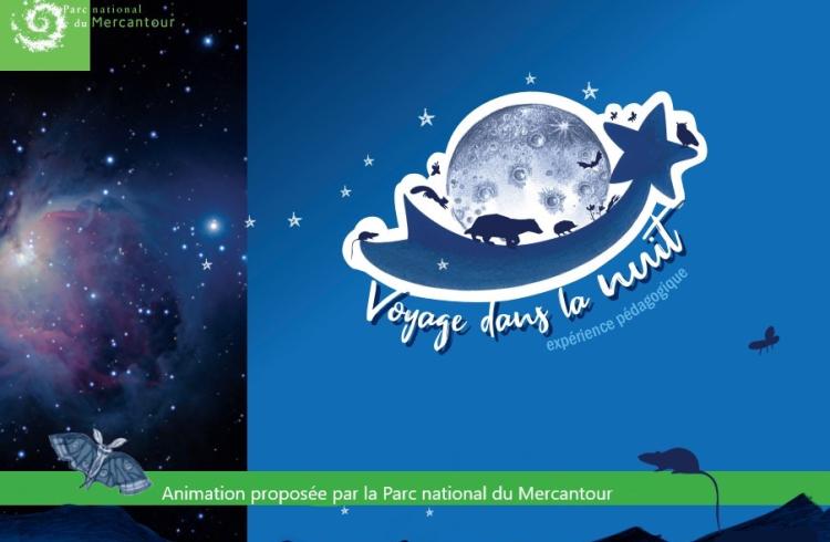 Animaux nocturnes - Animaux nocturnes