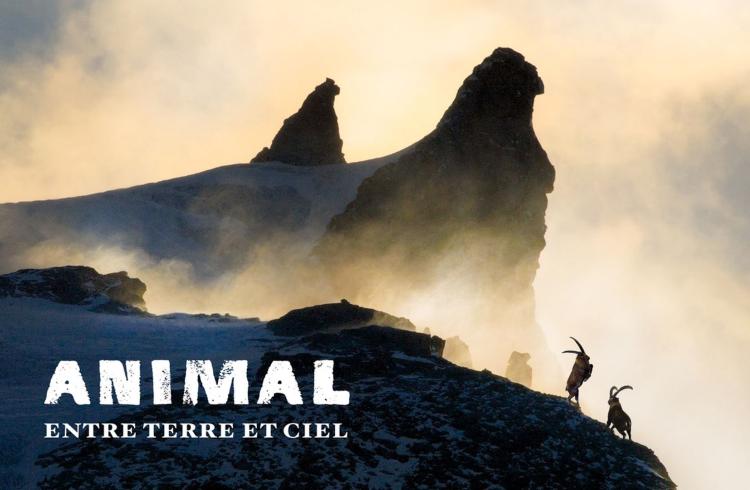 Cinéma en plein air - "ANIMAL entre Terre et Ciel "_Barcelonnette - ANIMAL