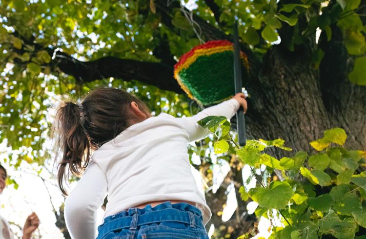 Casse de piñata - Barcelonnette - Casse de piñata