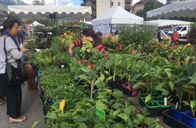 Foire aux plants de Barcelonnette - Foire aux plants de Barcelonnette