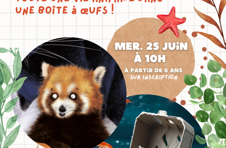 Partir en livre : Toute une vie animale dans une boîte à œufs !_Seyne - Partir en livre : Toute une vie animale dans une boîte à œufs !_Seyne