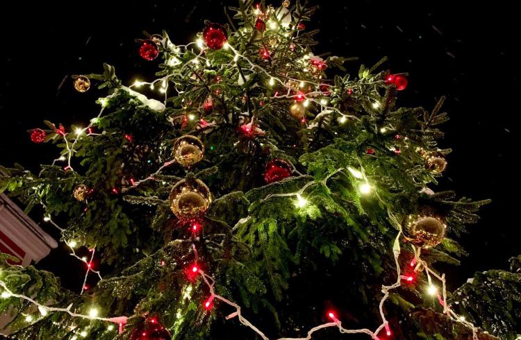 Féeries de Noël de Barcelonnette - Féeries de Noël de Barcelonnette