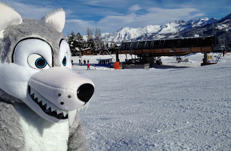 Mascotte - Mascotte