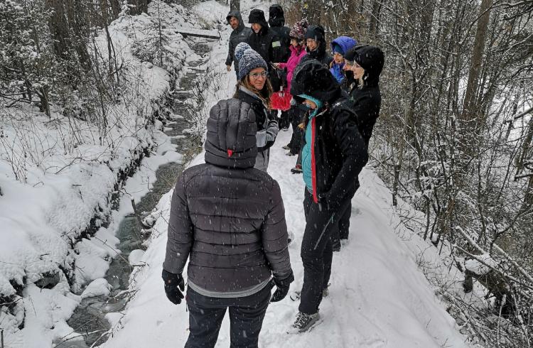 Balade nature & panoramique autour de Barcelonnette_Barcelonnette - Balade nature