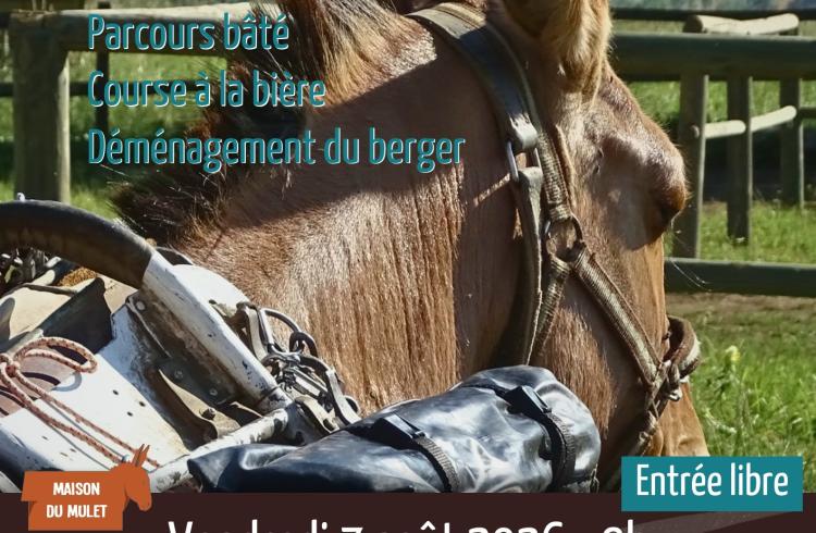 Mules en Seyne, Concours de bâtage et Jeux muletiers_Seyne - affiche