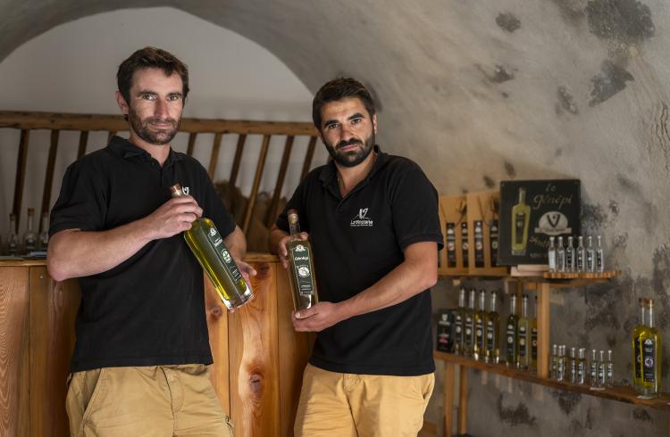 Visite de la liquoristerie La Vinciane - Visite de la liquoristerie La Vinciane