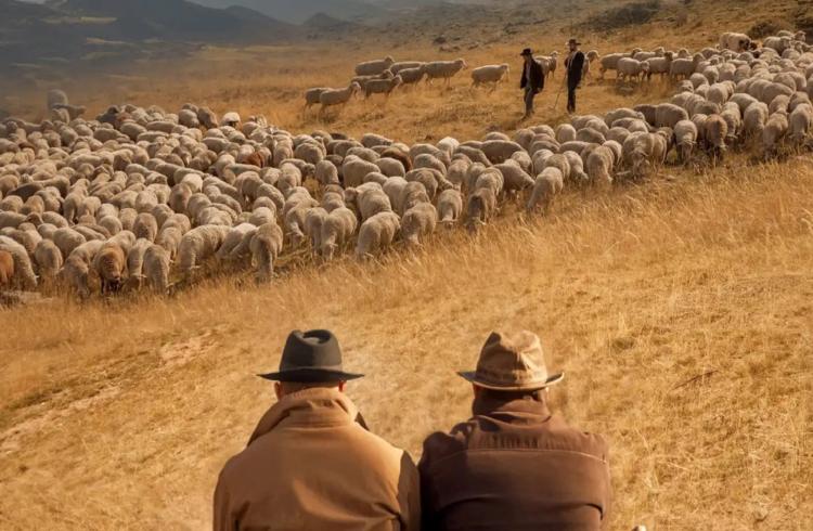 Dans les pas de Pete | Un Haut-Alpin au Far West - Dans les pas de Pete | Un Haut-Alpin au Far West