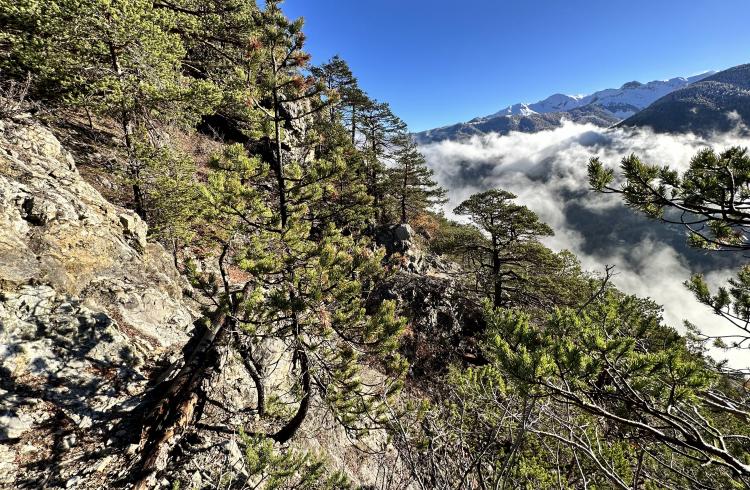 Rando curieuse : Chemins antiques des gorges du Guil_Arvieux