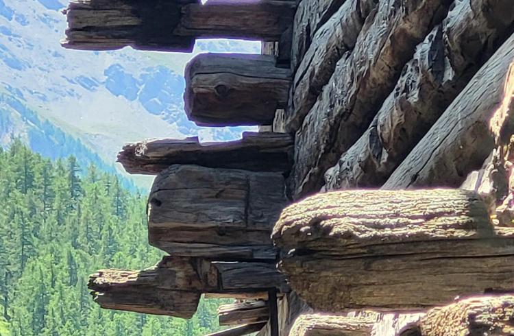 Les petits explorateurs et les maisons fustes_Molines-en-Queyras