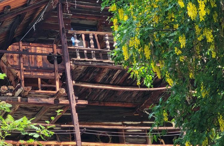 Les petits explorateurs et les maisons fustes_Molines-en-Queyras