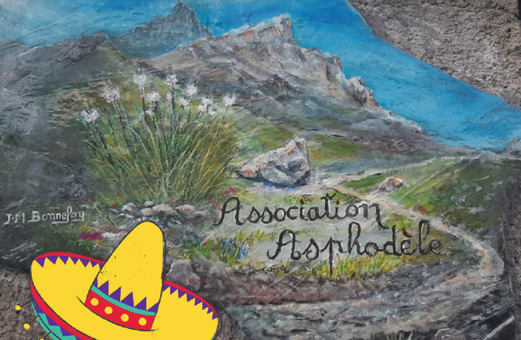 Asphodèle repas mexicain