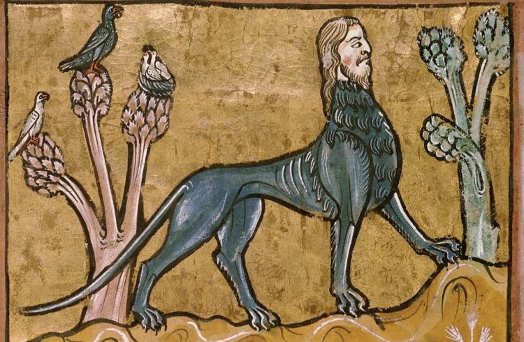 Conférence : Bestiaire imaginaire, chimères et légendes de la faune des montagnes_Barcelonnette - Manticore, Bestiaire du 13e siècle, Rochester