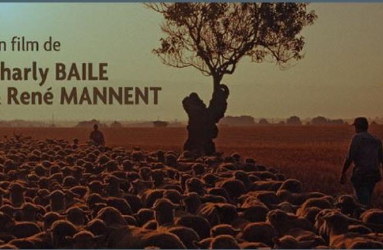 Diffusion du film Les dernières grandes transhumances à Alternateur_Seyne