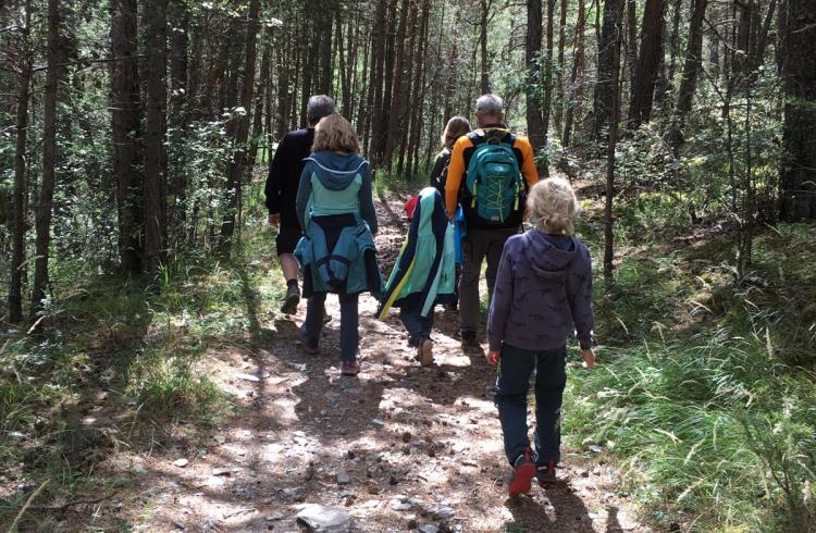 Randonnée en forêt - Randonnée en forêt