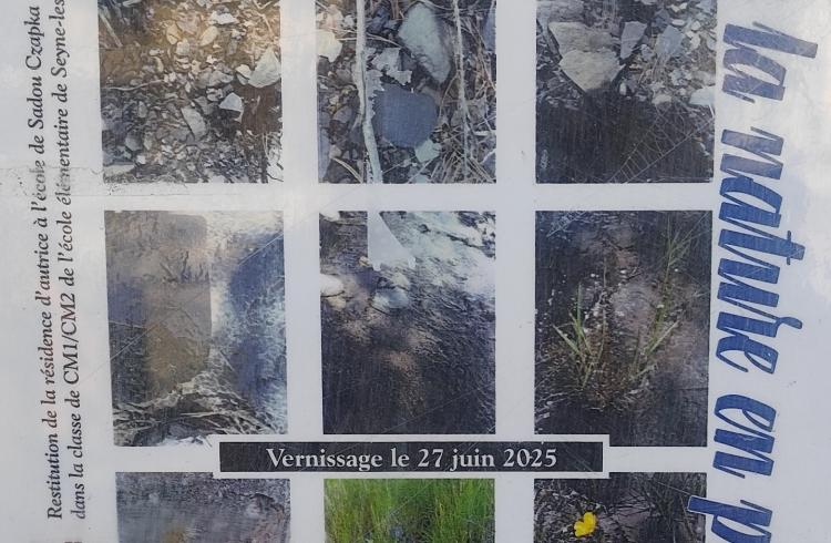 Exposition "Le ruissellement, de la nature en poèmes" - Exposition "Le ruissellement, de la nature en poèmes"