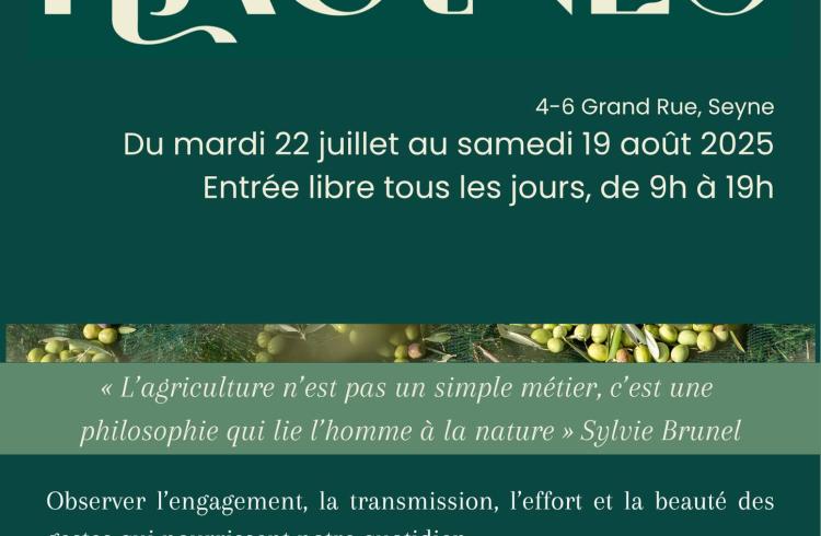 Exposition "Racines" :    œ  ' _Seyne - Affiche