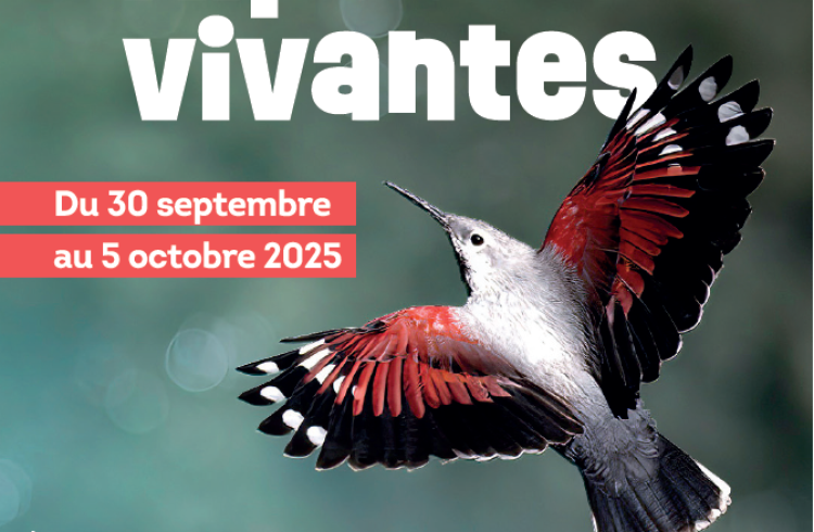 Inventerre, festival de la biodiversité_Digne-les-Bains - Inventerre, festival de la biodiversité_Digne-les-Bains