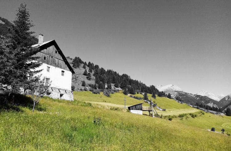 Rando curieuse : La saga de l'herbe_Arvieux