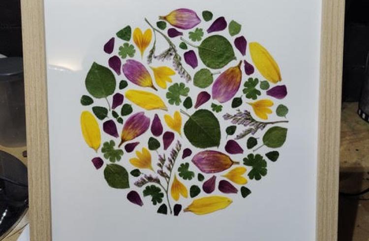 atelier création d'herbier EMBRUN - atelier création d'herbier EMBRUN