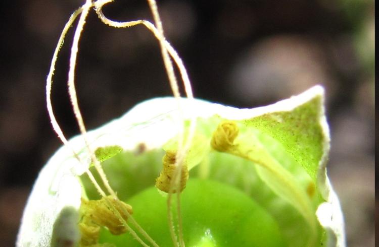 Séance danse spontanée - Séance danse spontanée