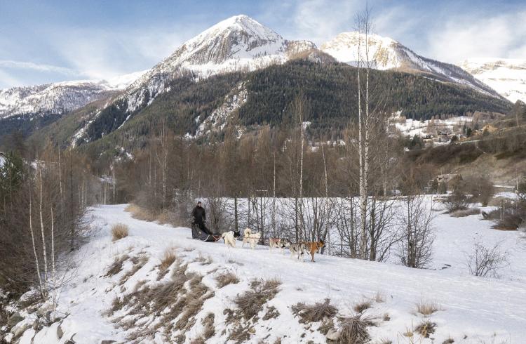 Journée découverte du site multi-activités de Saint-Paul - Baptême en chiens de traîneau sur le site multi-activités de Saint-Paul