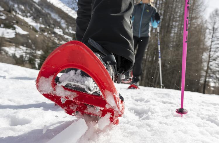 Découverte des raquettes - Le Sauze - Balade en raquettes à neige