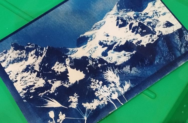 Atelier cyanotype_Embrun - Atelier cyanotype_Embrun
