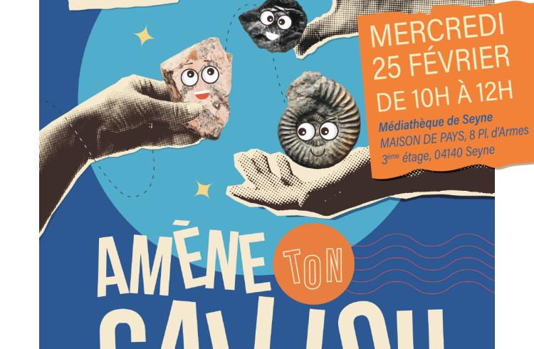 Amène ton caillou - affiche