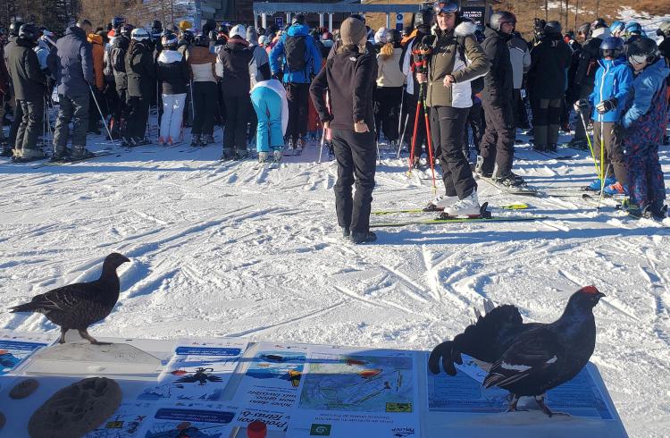 Sensibilisation à la faune sauvage et au risque avalanche - Sainte-Anne - Sensibilisation à la faune sauvage et au risque avalanche