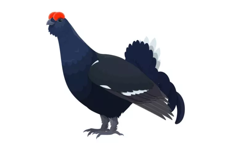 Atelier créatif "les oiseaux de la montagne - Café des arts_Montclar - Atelier créatif "les oiseaux de la montagne"