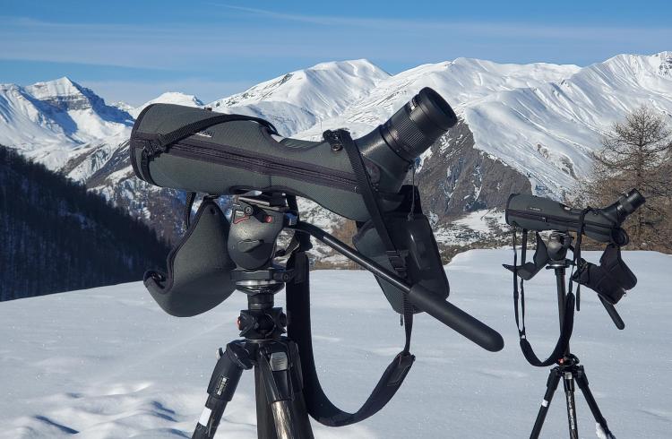 Découverte en direct du Gypaète barbu et sensibilisation au risque avalanche