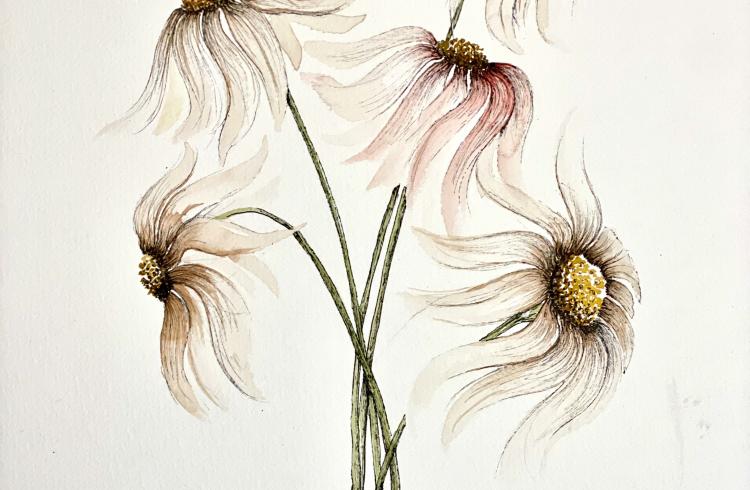 Atelier aquarelle EMBRUN - Atelier aquarelle EMBRUN