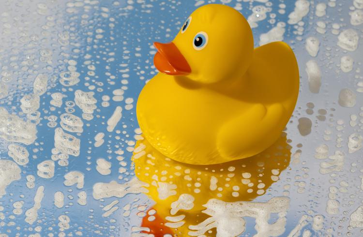 Pêche aux canards - Pêche aux canards