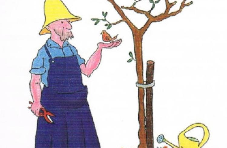 Journée taille et greffe des arbres fruitiers_Seyne - Taille et cueillette d'un arbre fruitier