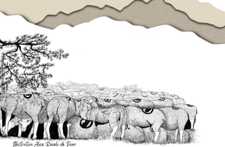 Inauguration de l'exposition « Où vas-tu Berger(ère) ? Transhumance et société » - La Condamine-Châtelard