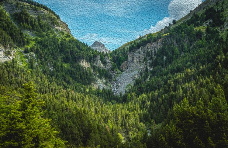 Exposition Les arbres en couleurs – Sous les branches de l’art