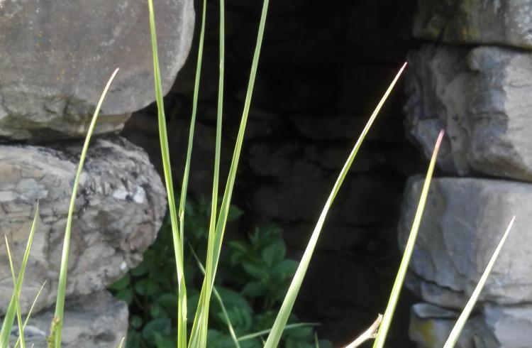 Les petits explorateurs et les terrasses d'Hercule_Réallon