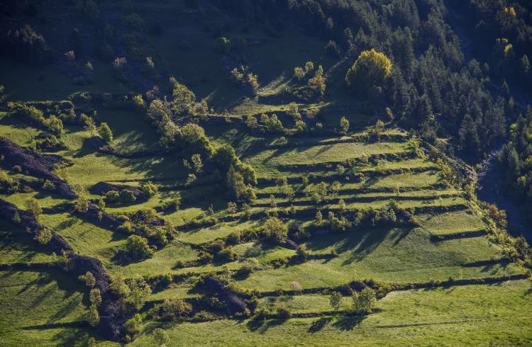Les petits explorateurs et les terrasses d'Hercule_Réallon