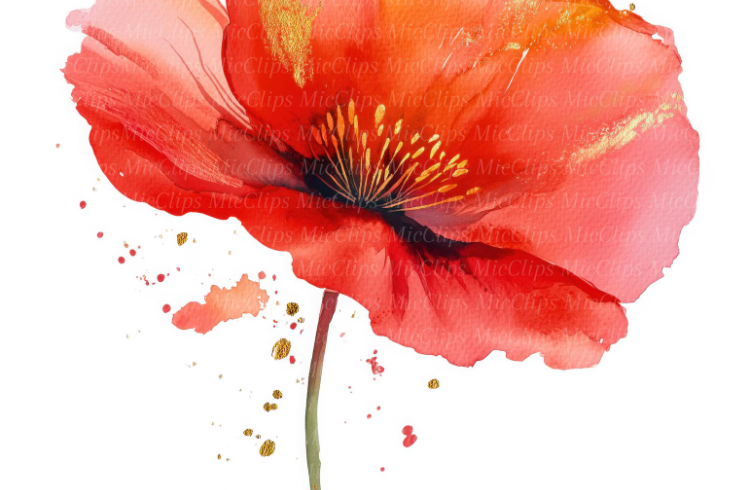 atelier aquarelle fleurs d'été EMB - atelier aquarelle fleurs d'été EMB