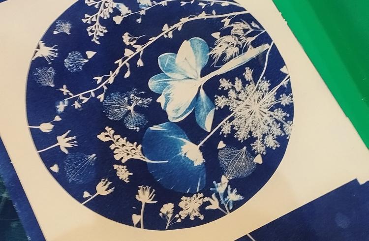 atelier cyanotipe EMB - atelier cyanotipe EMB