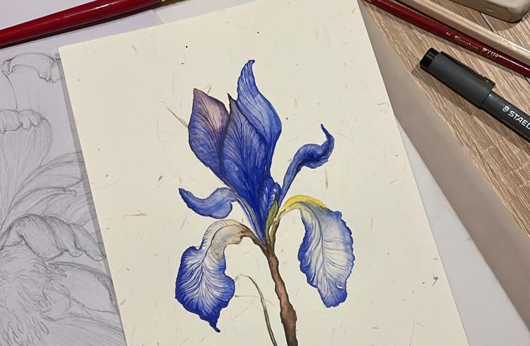 atelier aquarelle libre EMB - atelier aquarelle libre EMB