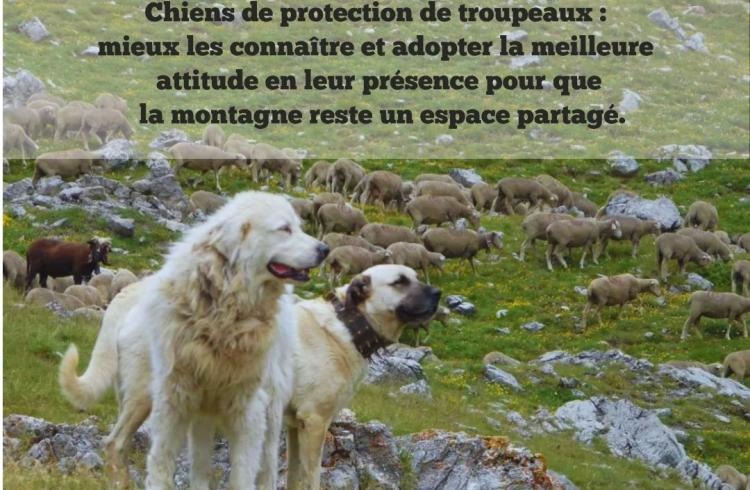 conférence paroles de patous EMB - conférence paroles de patous EMB