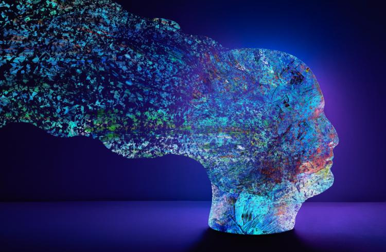 Conférence sur la sobriété électromagnétique_Seyne - Conférence sur la sobriété électromagnétique_Seyne