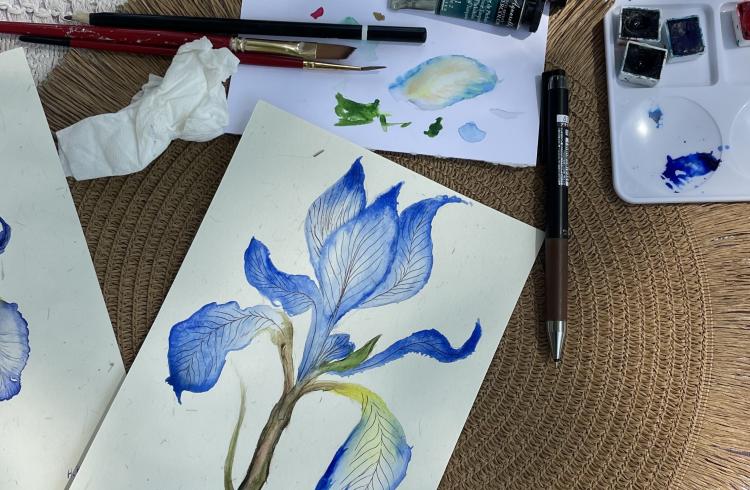 atelier aquarelle EMB - atelier aquarelle EMB