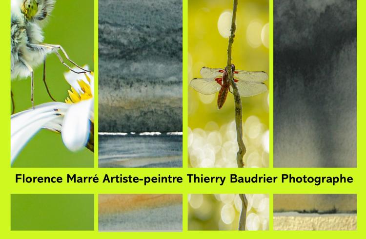 Exposition : Artistes au Jardin_Embrun - Exposition : Artistes au Jardin_Embrun