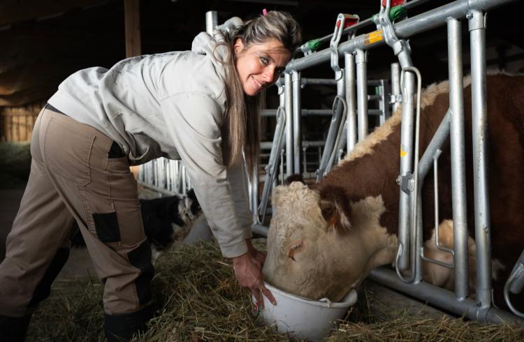 Rencontre culturelle : À la découverte du métier d'éleveuse bovin_Saint-Paul-sur-Ubaye