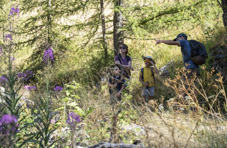 Chasse aux trésors de l'Ubaye - Le Sauze 1700